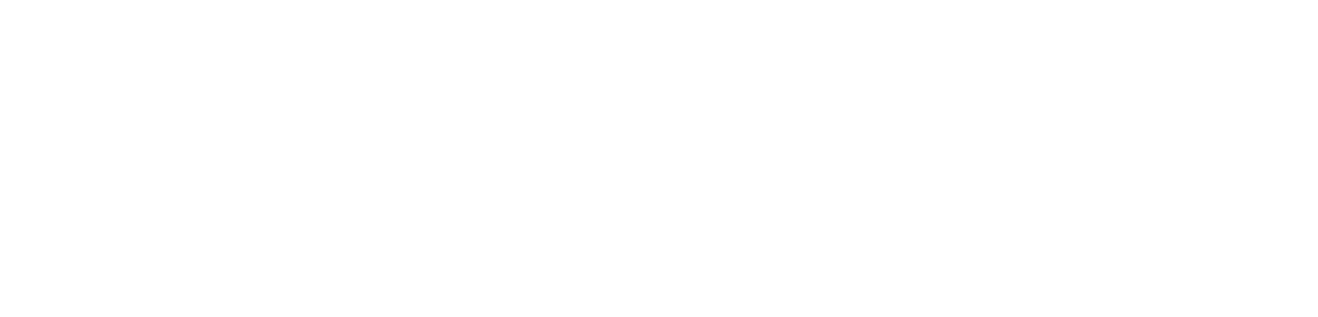 Your Choice Adoptions Logo